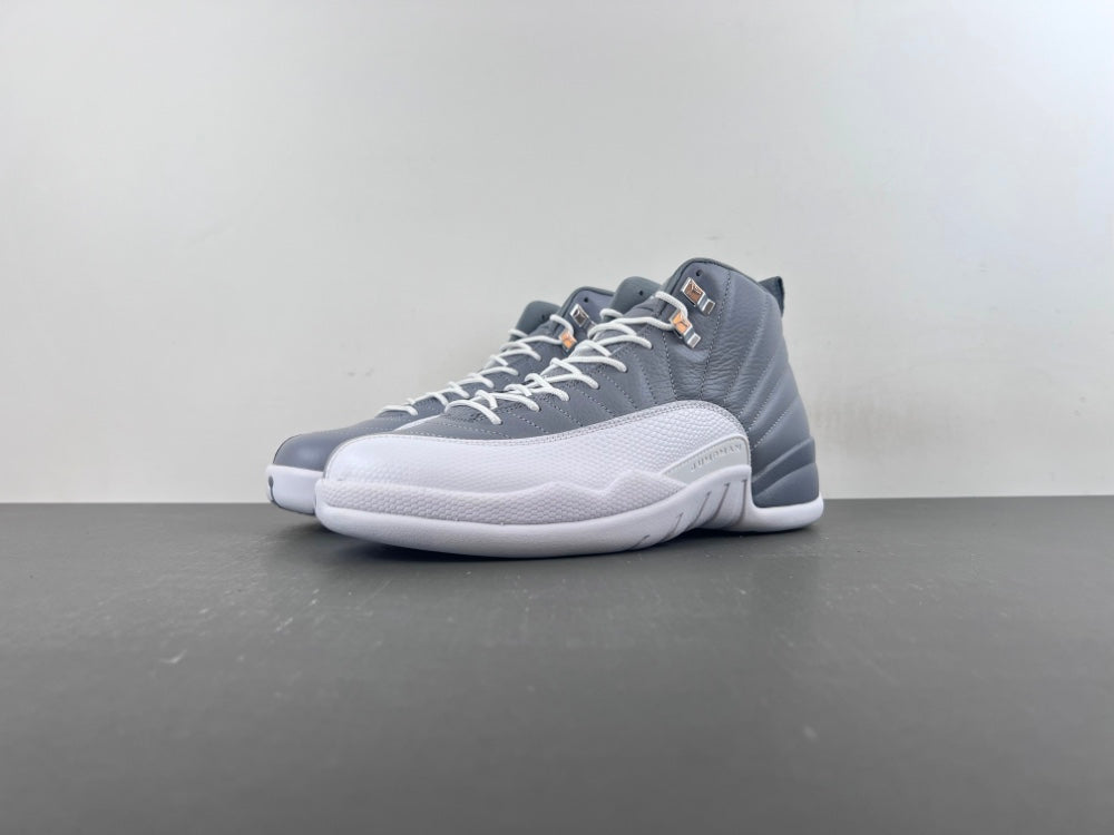 Air Jordan 12 Cool Grey