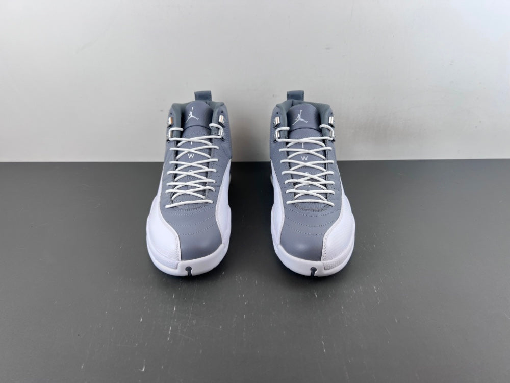 Air Jordan 12 Cool Grey
